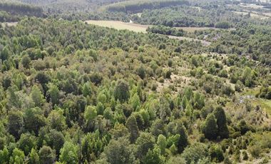 Venta de hermosas parcelas en los Muermos,