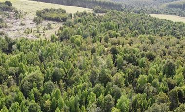 Venta de hermosas parcelas en los Muermos,