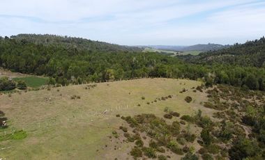 Venta de hermosas parcelas en los Muermos,