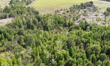 Venta de hermosas parcelas en los Muermos,