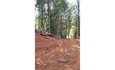 Vive la tranquilidad del sur, Parcela 26