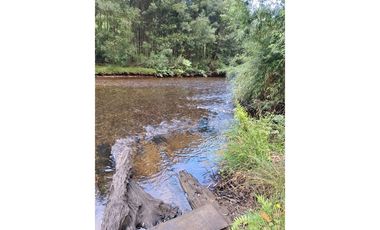 Vive la tranquilidad del sur, Parcela 26