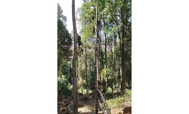 Vive la tranquilidad del sur, Parcela 26