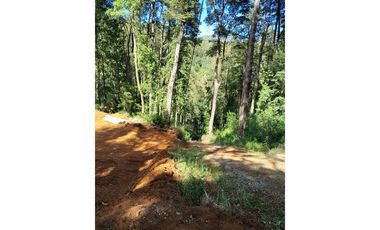 Vive la tranquilidad del sur, Parcela 26