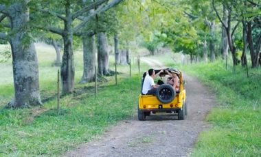Hacienda Ganadera en La Mesa
