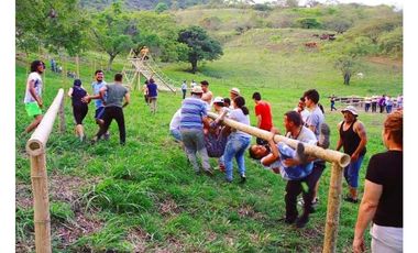 Hacienda Ganadera en La Mesa