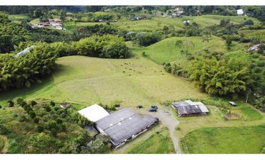 ESPECTACULAR FINCA GANADERA FILANDIA 17 GL