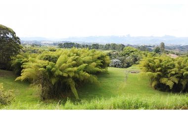 ESPECTACULAR FINCA GANADERA FILANDIA 17 GL