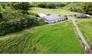 ESPECTACULAR FINCA GANADERA FILANDIA 17 GL