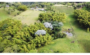 ESPECTACULAR FINCA GANADERA FILANDIA 17 GL