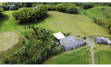 ESPECTACULAR FINCA GANADERA FILANDIA 17 GL