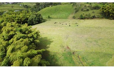 ESPECTACULAR FINCA GANADERA FILANDIA 17 GL