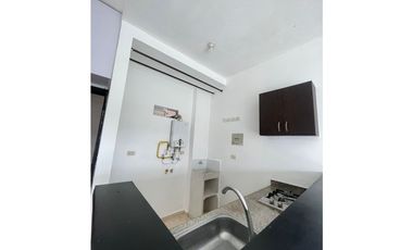 ALQUILO APARTAMENTO PASEO DE LA CASTELLANA PEREIRA