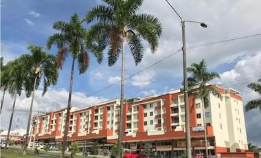 ALQUILO APARTAMENTO PASEO DE LA CASTELLANA PEREIRA