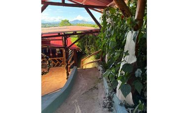 FINCA PEQUEÑA ALTAMENTE PRODUCTIVA CON CULTIVOS, TURISMO  EN FILANDIA