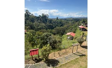FINCA PEQUEÑA ALTAMENTE PRODUCTIVA CON CULTIVOS, TURISMO  EN FILANDIA