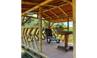 FINCA PEQUEÑA ALTAMENTE PRODUCTIVA CON CULTIVOS, TURISMO  EN FILANDIA