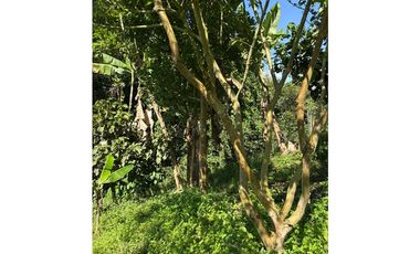 FINCA PEQUEÑA ALTAMENTE PRODUCTIVA CON CULTIVOS, TURISMO  EN FILANDIA