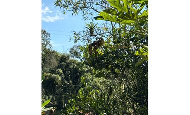 FINCA PEQUEÑA ALTAMENTE PRODUCTIVA CON CULTIVOS, TURISMO  EN FILANDIA