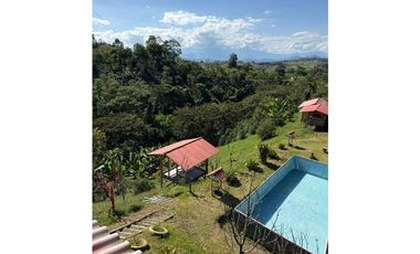FINCA PEQUEÑA ALTAMENTE PRODUCTIVA CON CULTIVOS, TURISMO  EN FILANDIA