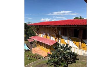 FINCA PEQUEÑA ALTAMENTE PRODUCTIVA CON CULTIVOS, TURISMO  EN FILANDIA