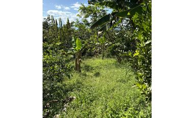 FINCA PEQUEÑA ALTAMENTE PRODUCTIVA CON CULTIVOS, TURISMO  EN FILANDIA
