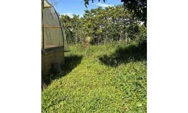 FINCA PEQUEÑA ALTAMENTE PRODUCTIVA CON CULTIVOS, TURISMO  EN FILANDIA