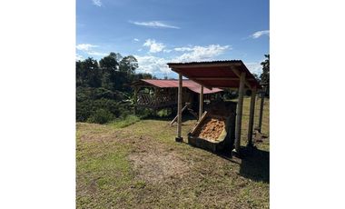 FINCA PEQUEÑA ALTAMENTE PRODUCTIVA CON CULTIVOS, TURISMO  EN FILANDIA