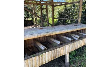 FINCA PEQUEÑA ALTAMENTE PRODUCTIVA CON CULTIVOS, TURISMO  EN FILANDIA
