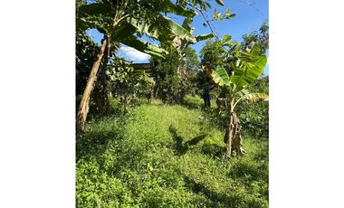 FINCA PEQUEÑA ALTAMENTE PRODUCTIVA CON CULTIVOS, TURISMO  EN FILANDIA