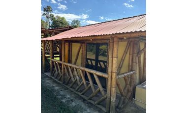 FINCA PEQUEÑA ALTAMENTE PRODUCTIVA CON CULTIVOS, TURISMO  EN FILANDIA