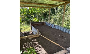 FINCA PEQUEÑA ALTAMENTE PRODUCTIVA CON CULTIVOS, TURISMO  EN FILANDIA