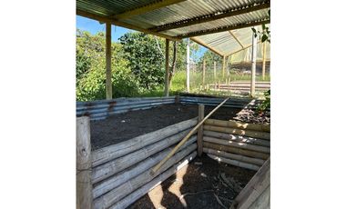 FINCA PEQUEÑA ALTAMENTE PRODUCTIVA CON CULTIVOS, TURISMO  EN FILANDIA