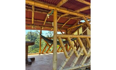 FINCA PEQUEÑA ALTAMENTE PRODUCTIVA CON CULTIVOS, TURISMO  EN FILANDIA