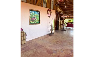 FINCA PEQUEÑA ALTAMENTE PRODUCTIVA CON CULTIVOS, TURISMO  EN FILANDIA