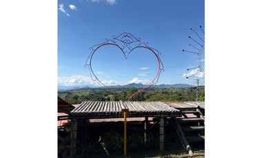 FINCA PEQUEÑA ALTAMENTE PRODUCTIVA CON CULTIVOS, TURISMO  EN FILANDIA