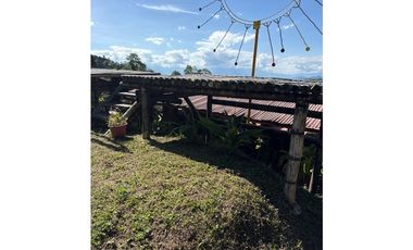 FINCA PEQUEÑA ALTAMENTE PRODUCTIVA CON CULTIVOS, TURISMO  EN FILANDIA