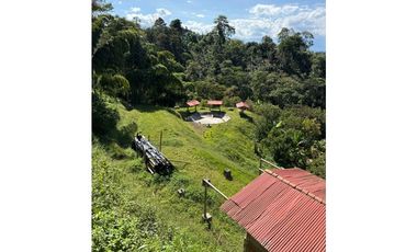 FINCA PEQUEÑA ALTAMENTE PRODUCTIVA CON CULTIVOS, TURISMO  EN FILANDIA