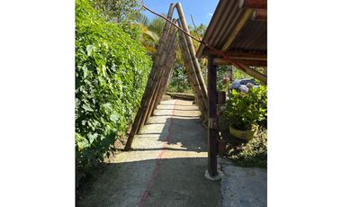 FINCA PEQUEÑA ALTAMENTE PRODUCTIVA CON CULTIVOS, TURISMO  EN FILANDIA
