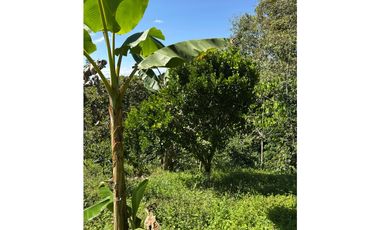 FINCA PEQUEÑA ALTAMENTE PRODUCTIVA CON CULTIVOS, TURISMO  EN FILANDIA