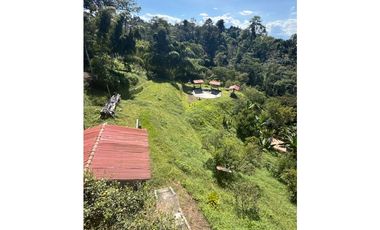 FINCA PEQUEÑA ALTAMENTE PRODUCTIVA CON CULTIVOS, TURISMO  EN FILANDIA