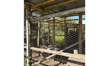 FINCA PEQUEÑA ALTAMENTE PRODUCTIVA CON CULTIVOS, TURISMO  EN FILANDIA