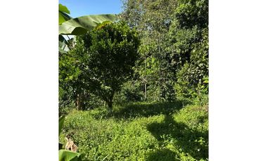 FINCA PEQUEÑA ALTAMENTE PRODUCTIVA CON CULTIVOS, TURISMO  EN FILANDIA