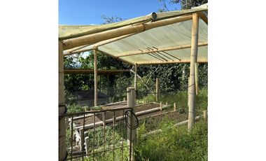 FINCA PEQUEÑA ALTAMENTE PRODUCTIVA CON CULTIVOS, TURISMO  EN FILANDIA
