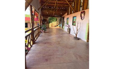 FINCA PEQUEÑA ALTAMENTE PRODUCTIVA CON CULTIVOS, TURISMO  EN FILANDIA