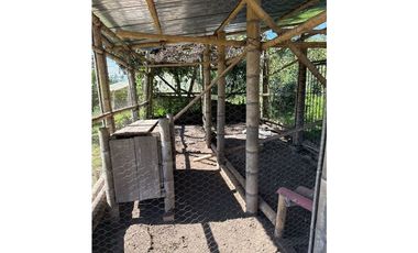 FINCA PEQUEÑA ALTAMENTE PRODUCTIVA CON CULTIVOS, TURISMO  EN FILANDIA