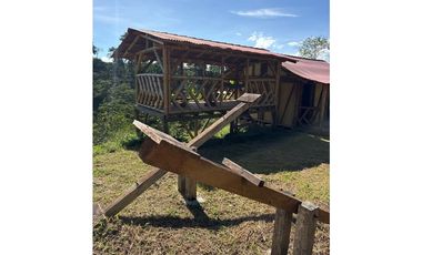 FINCA PEQUEÑA ALTAMENTE PRODUCTIVA CON CULTIVOS, TURISMO  EN FILANDIA