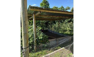 FINCA PEQUEÑA ALTAMENTE PRODUCTIVA CON CULTIVOS, TURISMO  EN FILANDIA