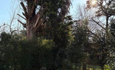 CASA 2 AMBIENTES EN VENTA, PUEBLO LOS CARDALES