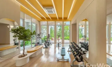 ✨ For Rent: Dcondo Sand Hatyai — Brand New Condo Near PSU